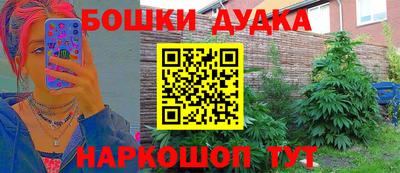 прущие крисы Нальчик