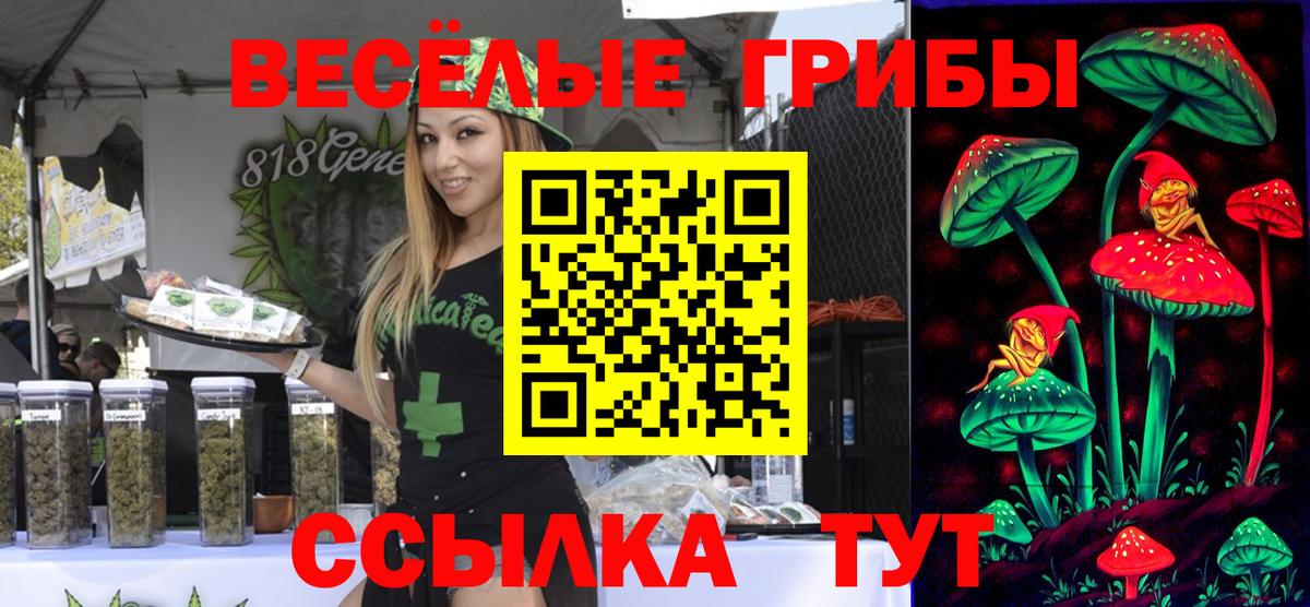 Салават  Галлюциногенные грибы ЛСД  Вход с VPN  купить наркоту  Галлюциногенные грибы мухоморы 